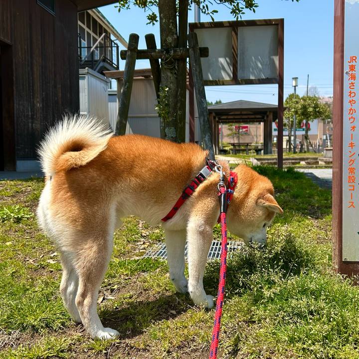 47dfc3d2 e461 4064 bb99 4f6b32412b43 1745138422117