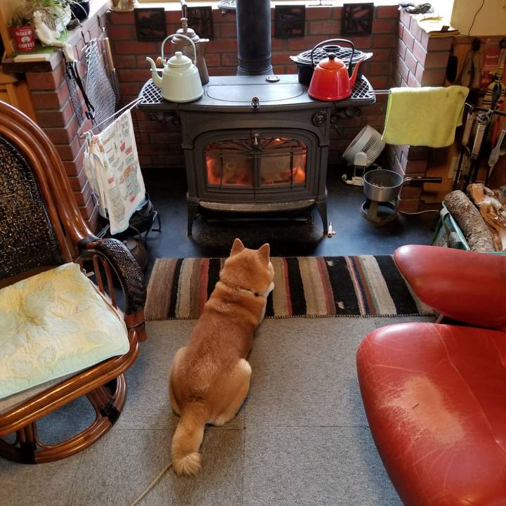 47e01920 dfff 4beb b91d c7da1ed34984 1618010201520