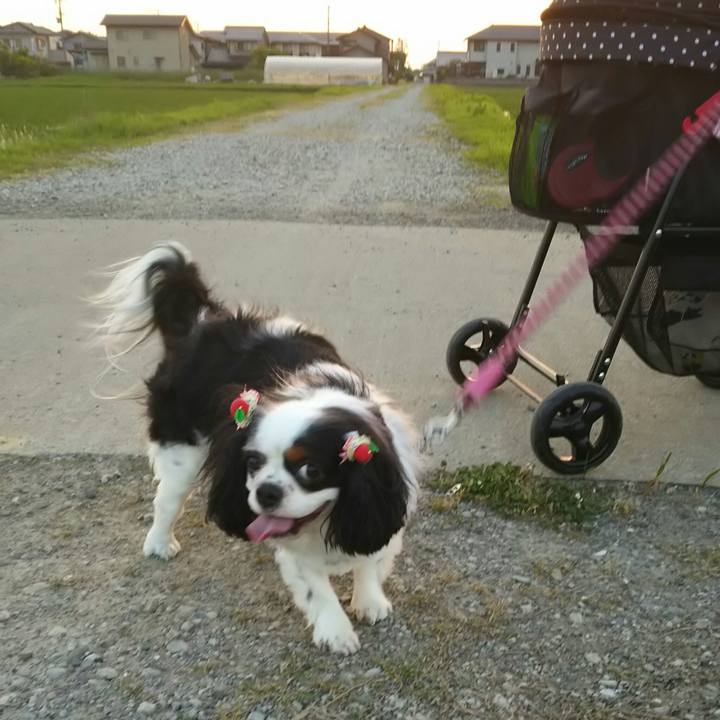 47e01f42 9fa7 414e a56f 51bf9f2b961e 1528110258744