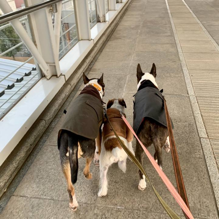 47e029fe ed09 48ee bbf1 7875919d75d4 1610880549393