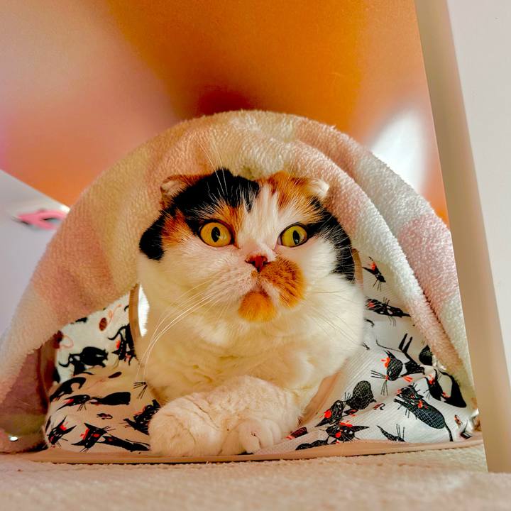 47e04334 e17f 4728 9dc1 efc4d515ce73 1701134764536