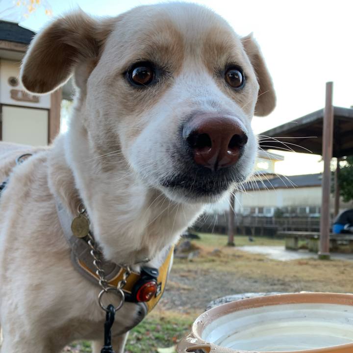 47e07aab 7834 4fad bc11 9e6fe63fabcb 1577064515614