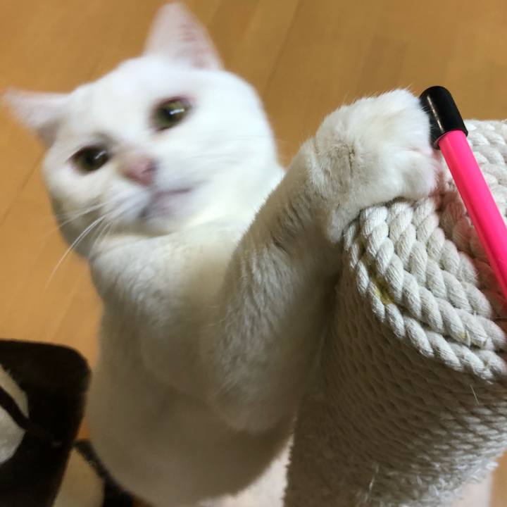 47e07ae7 946b 4b97 a998 ccfa41294308 1523880818387