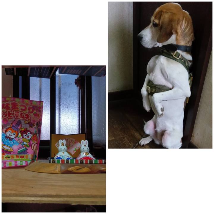 47e092fe 9f16 4580 b75c b4c1f62f2fd4 1741003758803