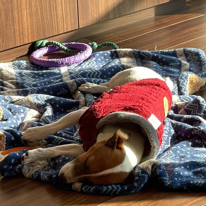 47e0a5a7 624f 4a4a 895e bbe874c3bae6 1642551233028