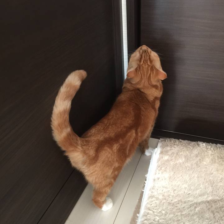 47e0b99c 36b4 49f2 894e 38bcf4fb0d49 1577582016165