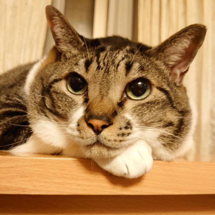 47e0dcd7 5387 40aa a243 37f14f4a2c6c 1598066968281