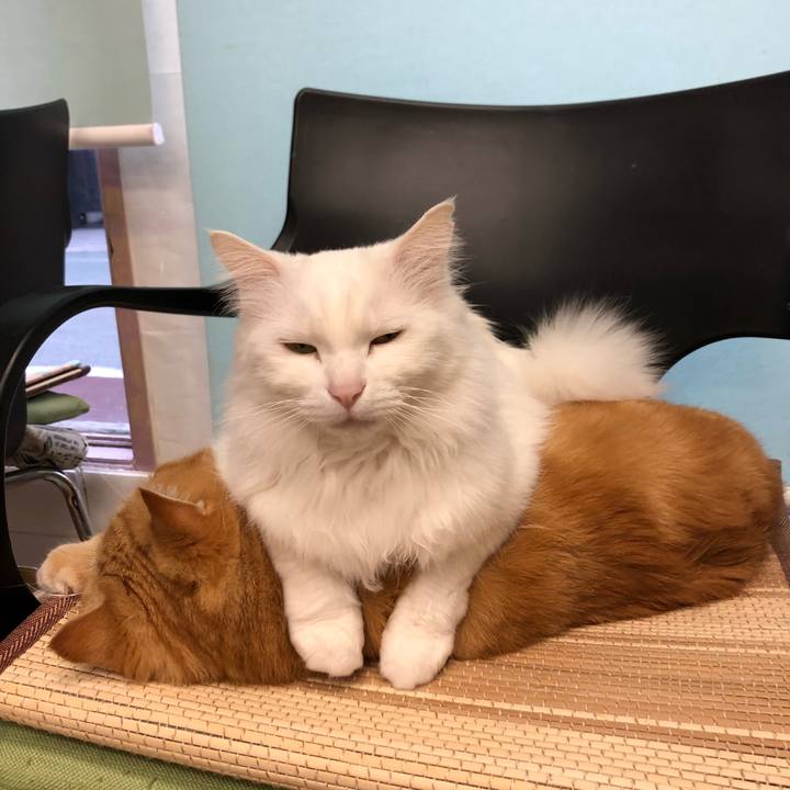 47e0ea1a 96e2 447a b3a6 869b502c88b3 1657239365329