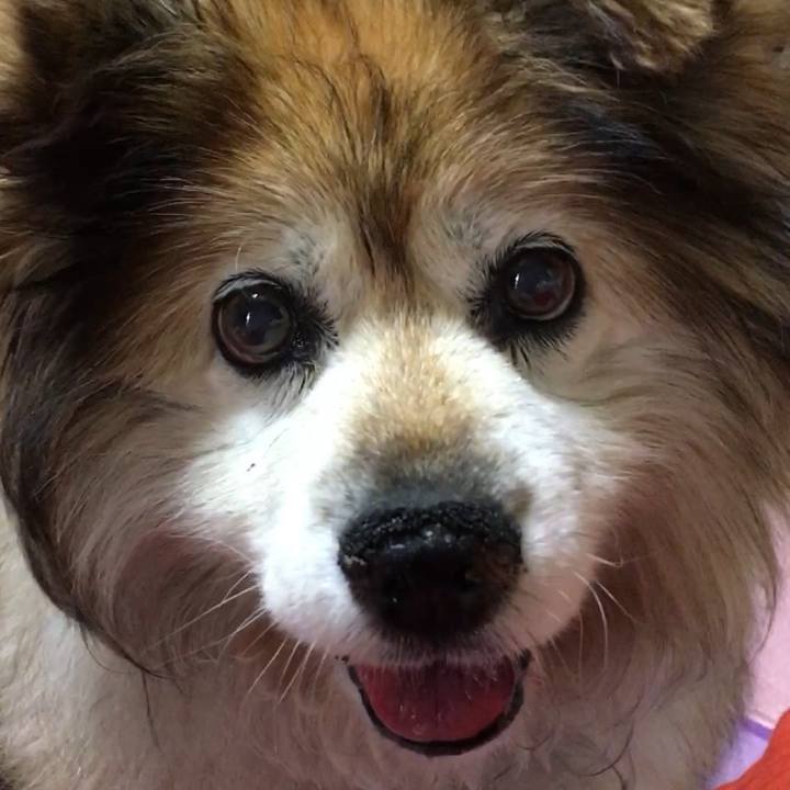 47e1851e 7369 4ce1 ab64 3804b76b90b6 1584977931273