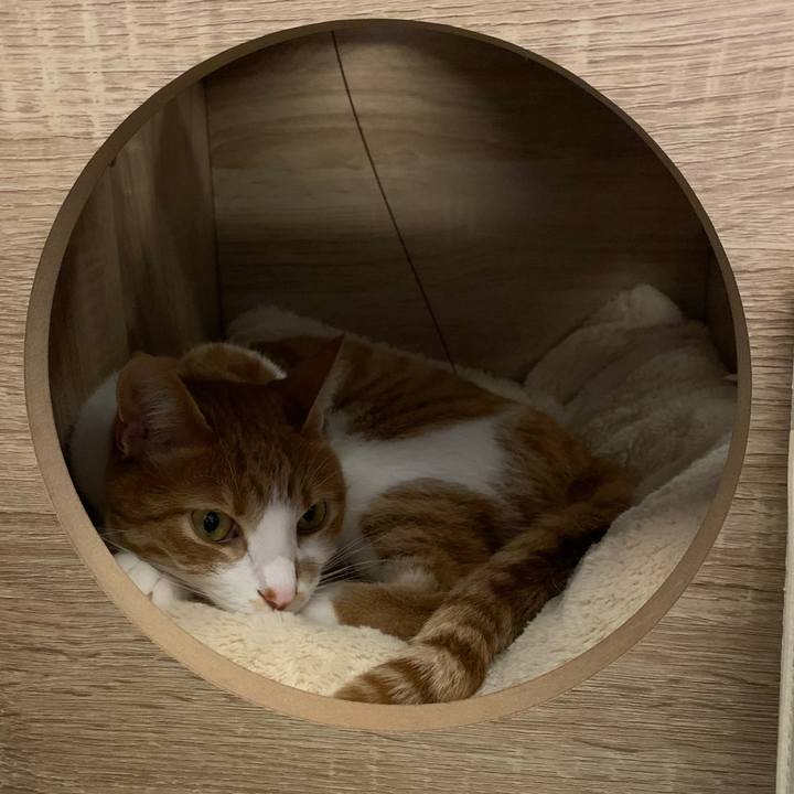 47e18c57 3679 418c 8eae 1ef025750fee 1584353116532