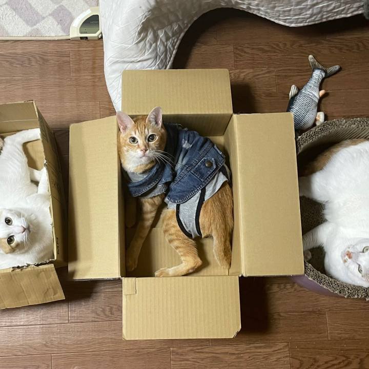 47e1cef8 6679 4974 a43a e0f31cdf9df4 1651287330444