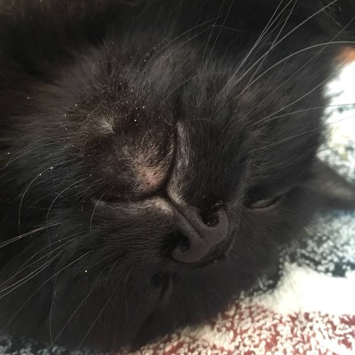 47e1d85b 827b 4aee 8cc2 f2fe4c3ad41c 1546653652255