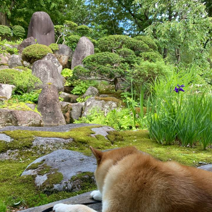 47e1de9b 2914 4b1b 9df0 3d09a9b5b926 1656136481796