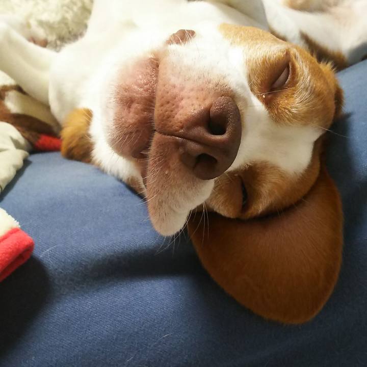 47e22a81 a619 4c70 b722 a22d20c99a30 1629982892567