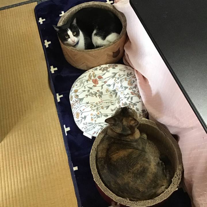 47e23f60 a4da 4851 b723 a75509e35bfb 1704187534430