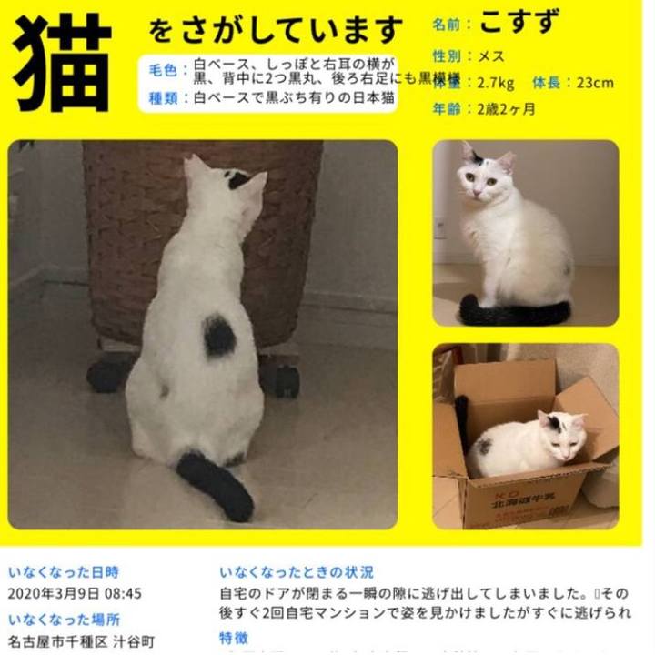 47e245e7 cf5f 47d1 9a67 9c38e3c78c46 1584058046349