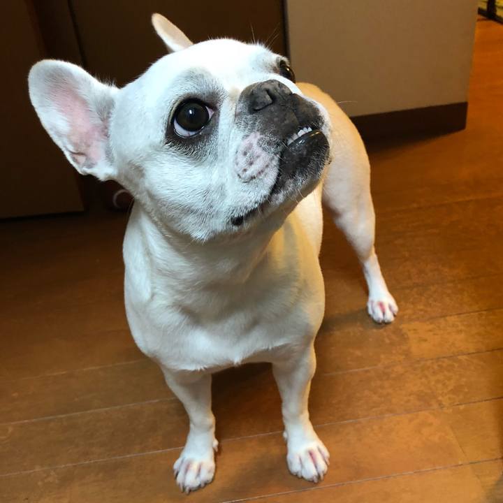 47e25c4e 8694 45fd 96c8 f75a1199e8ce 1538482377996