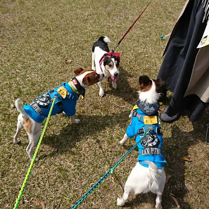 47e25da2 e52f 4d0e b526 e87f0c4c0034 1555809443139