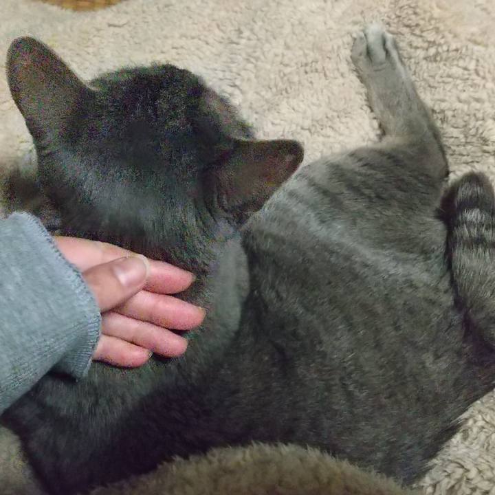 47e264a2 0efb 4beb b02e 412243869cc5 1678191542527