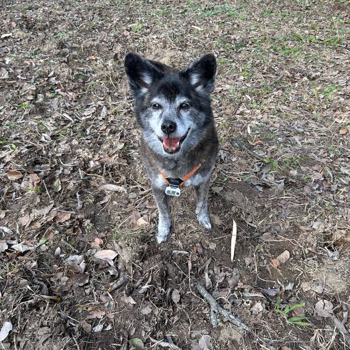 47e29b29 a30e 4303 a6f0 2ceeab7e5236 1770350236771