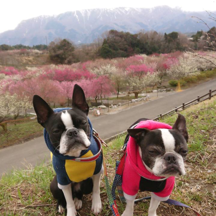 47e2aadc dc84 46c1 b300 c812fd1983ed 1521207312410