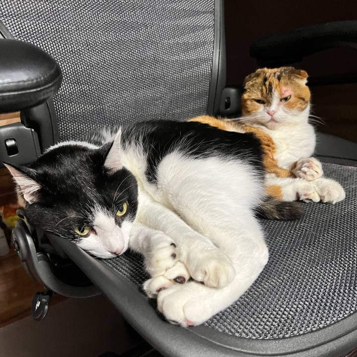 47e358dd 59e7 442e 8f65 e187828c36a3 1754841964390