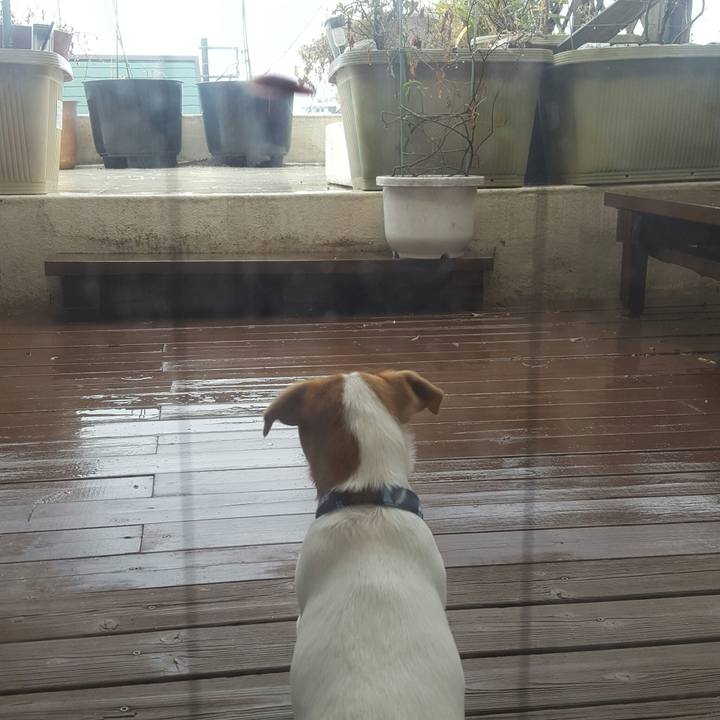 47e36c70 31ab 4c02 b0a1 13fc1c0ceb1a 1551665706060