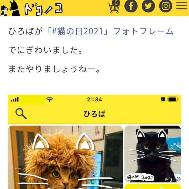 47e3ae7d 0a32 4cba 93f2 f782b13cb0db 1614917692269