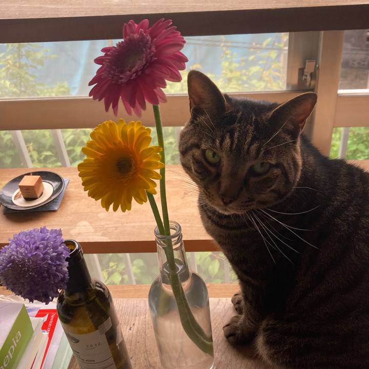 47e3b4cb d561 4f67 9871 3857579592a7 1745713767037