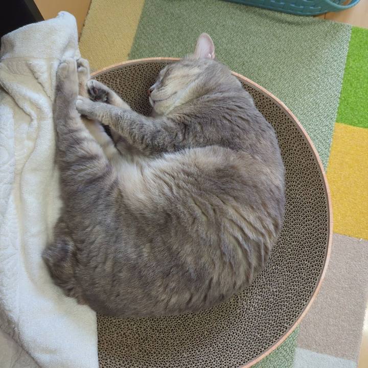 47e3c47a a554 4eec a1c5 eadfe784d8af 1696390902618