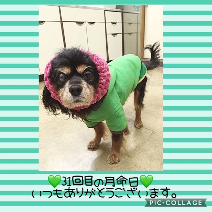 47e423b3 0452 479e abfd 09f13b57ca1f 1542813823482