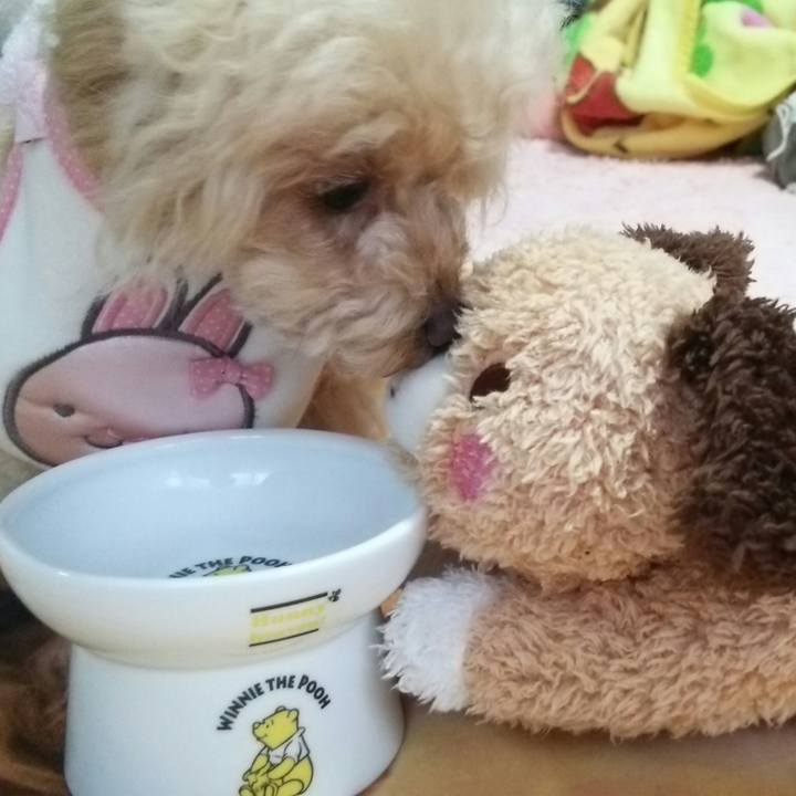 47e42ea2 fdbd 401d 8563 73f3e019e156 1550190295054