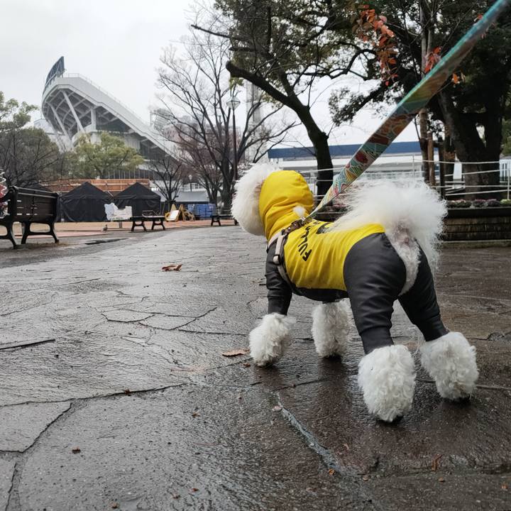 47e43393 ee77 46dc 9875 2e5600d9412f 1765748403966