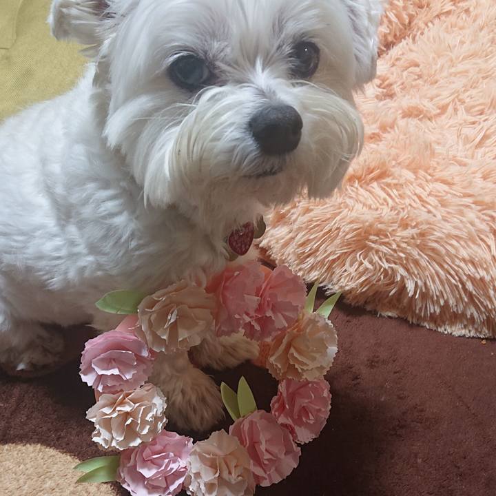 47e45c7a 7a67 46c0 8f25 df41d03b611e 1619011615205