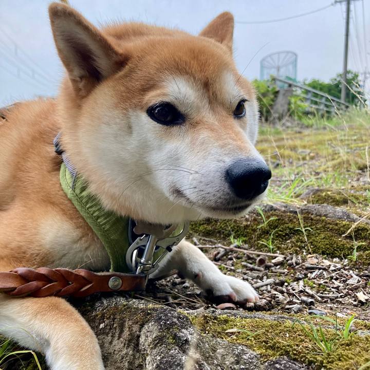 47e46956 60cc 4d60 8464 f79eba5d040c 1718883179647