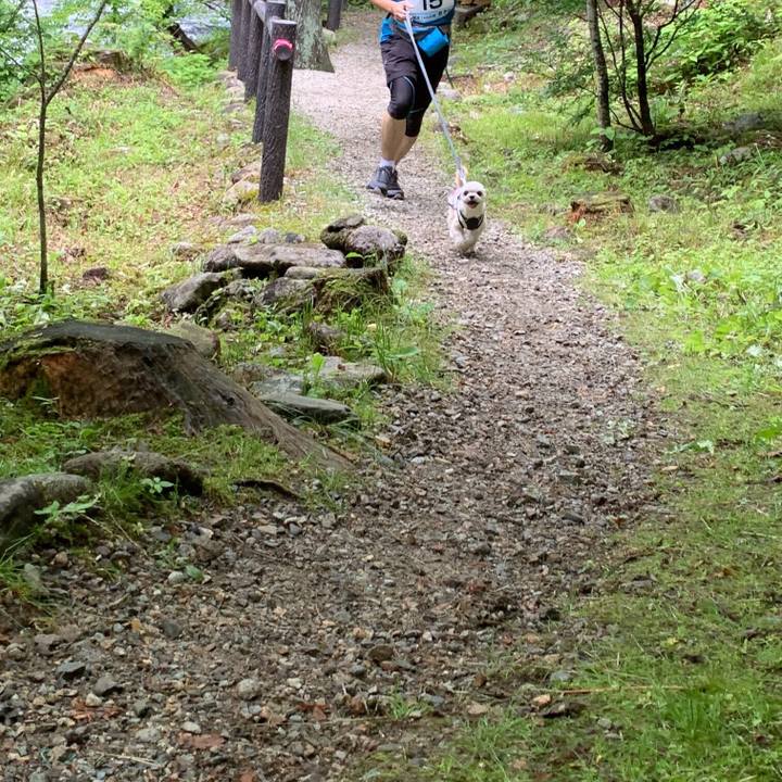 47e46e44 c061 4aa7 b09a b53379b991b9 1560691176231