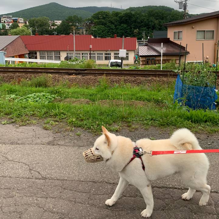 47e47869 90d1 4f17 a7b9 9f9fbe64f9f1 1594414788053