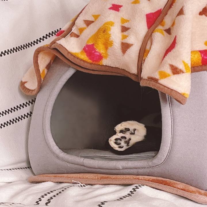 47e49dd3 e329 4220 af6b ea2a69c825b8 1672029753576