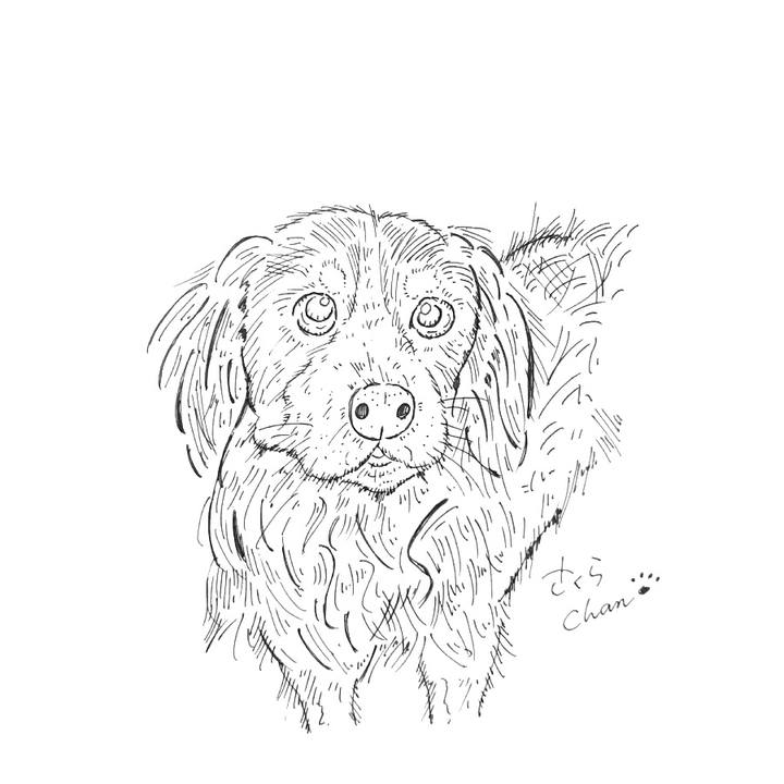 47e4c43e 9823 4a4c ab89 0ec74902fb2a 1585408372982