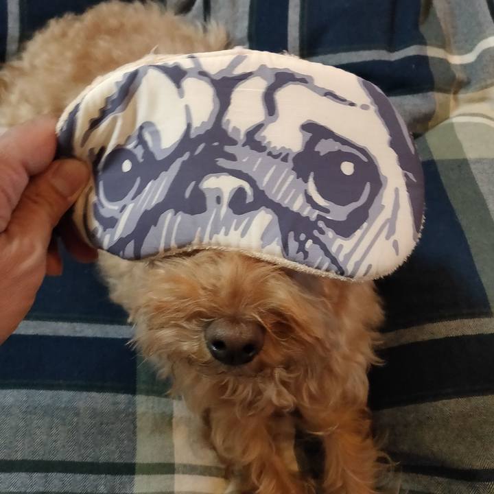 47e4ceff 3ed2 4d9a b1af c61ff5de1d04 1584451759201