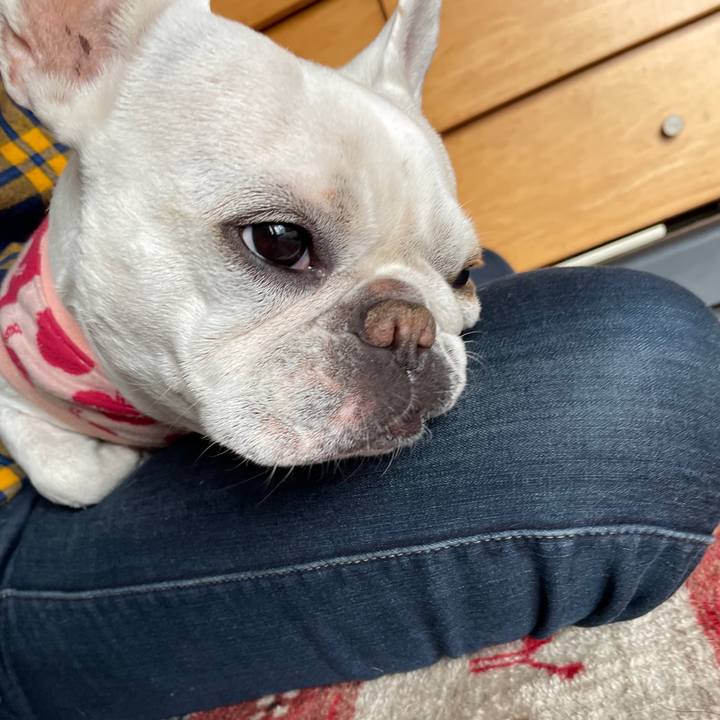 47e524ba abfa 4f22 ada1 3d292aa6fb72 1736723675642