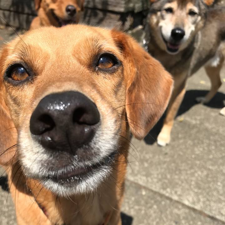 47e52a9c 14b8 462c ba6d 0071de012d3b 1529613887028