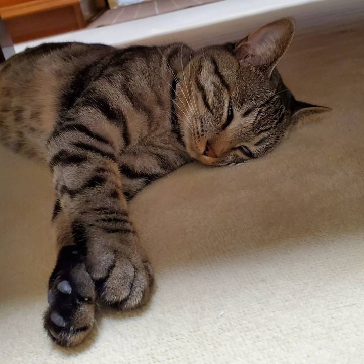 47e52e9b 459c 4469 9e22 90c703036458 1700928700738