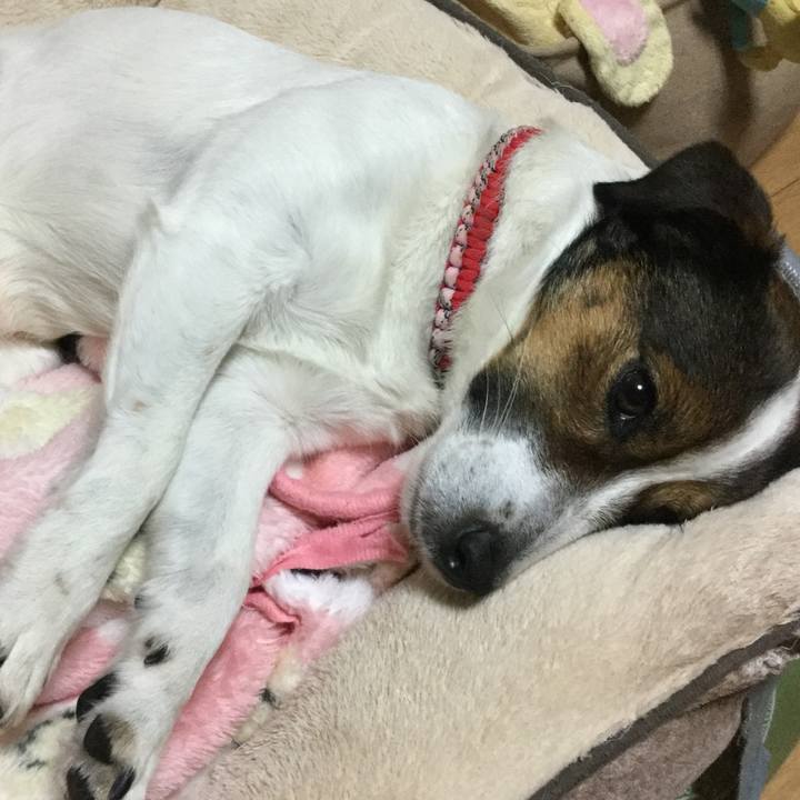 47e53572 4ec7 4c34 915b 37c75c7ae39c 1556453523405