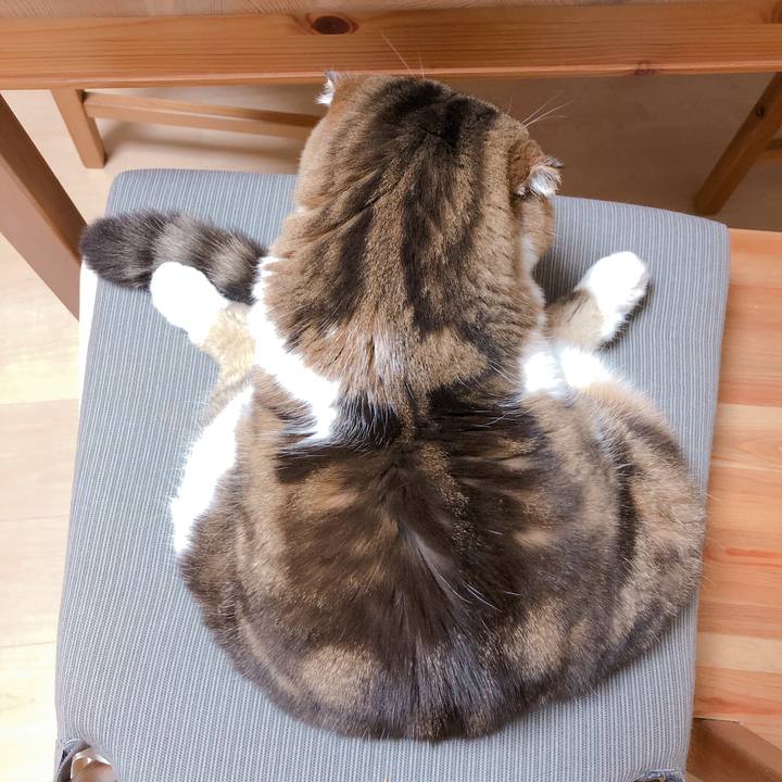 47e53d38 9258 4adb b277 73aac34d87ac 1552917140282