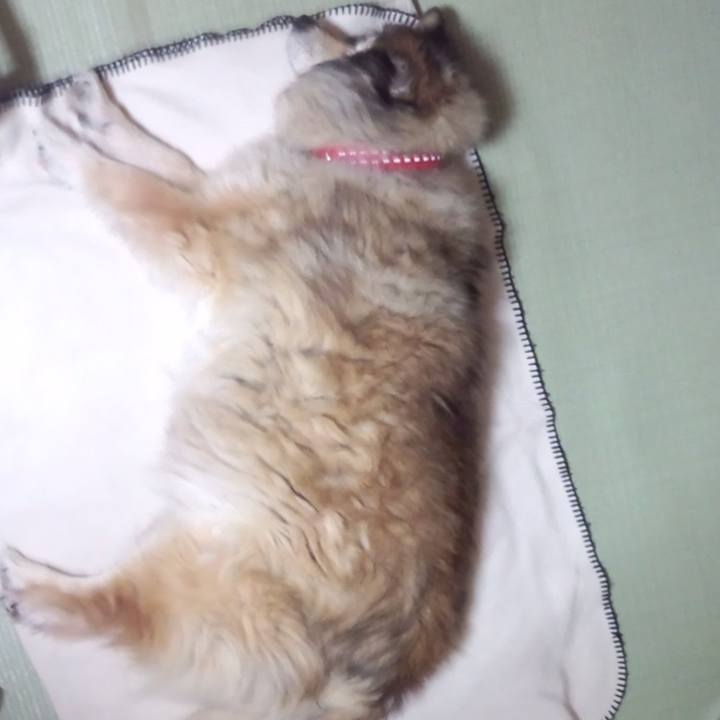 47e56794 ae4f 4ce7 83bf 4cf67019106d 1606124708055