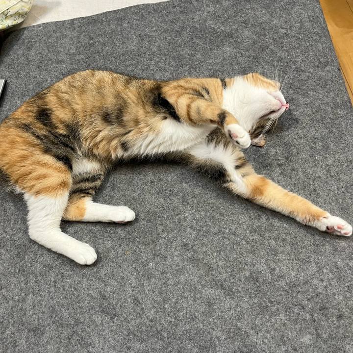 47e584ef f84d 4aa9 a12c e9e89eebedf5 1712582256059