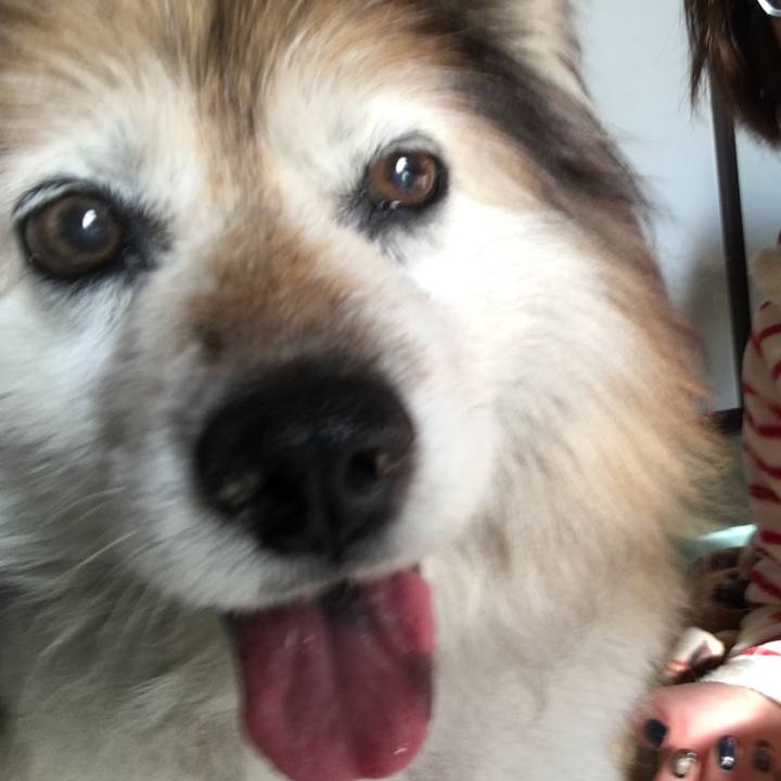 47e5b8b6 53bc 4507 afba 448a119e6596 1565305601053