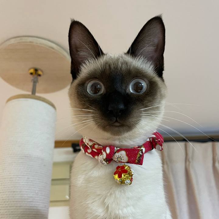 47e5db24 cbab 45fc ab4e 519457acad95 1702323194280