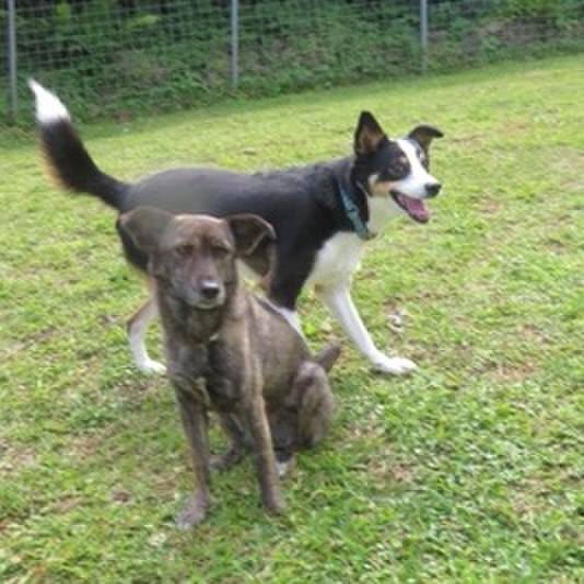 47e601f1 1817 4d23 aa1c 08b3c024b854 1614004510627